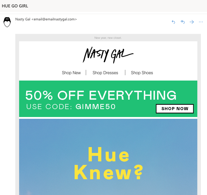 psychographic segmentation NastyGal 1